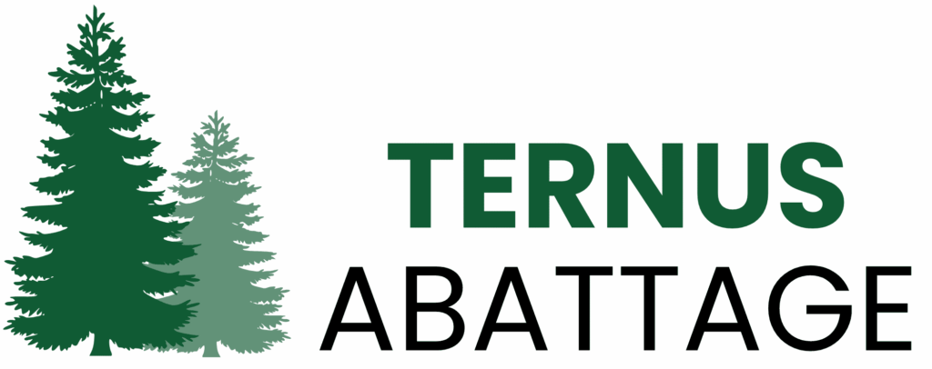 TERNUS LOGO (1)